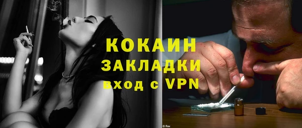 кокс Алексин