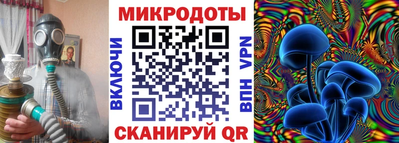 Галлюциногенные грибы Psilocybine cubensis  Пучеж 